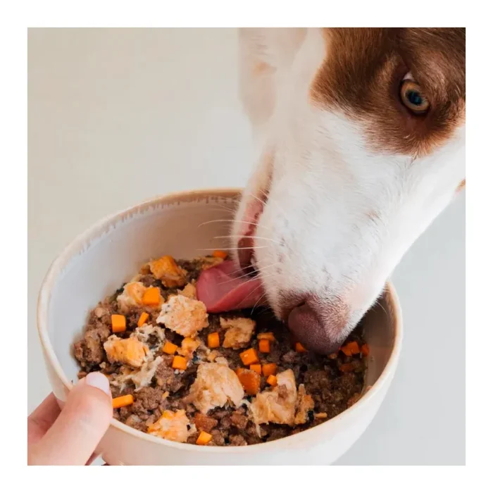 WildbalanceLataSalmon5 Wild Balance Salmon Lata Para Perros