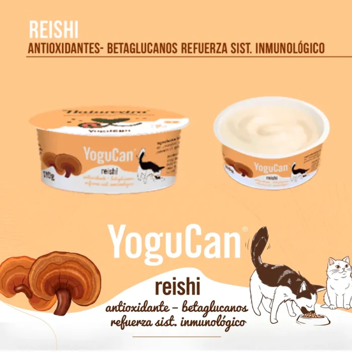 YogucanReishi2 Naturextra Yogucan Reishi